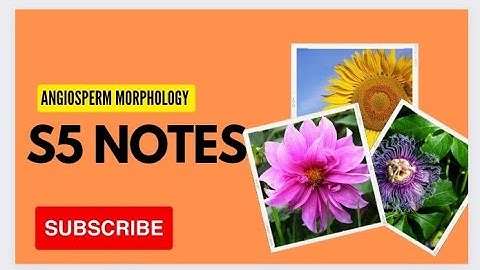 | Notes : Angiosperm morphology | P1| Core Botany  S5 |