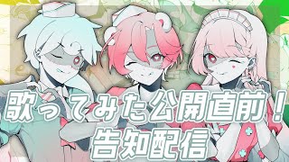 【歌みた告知】プレミア公開前の告知配信！【白・まろやか/作楽汰らぎこ/玖蘭はぴせ】