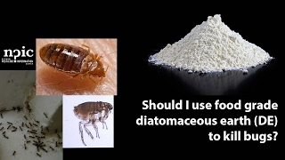 HowTo Get Rid Of Bed Bugs With Diatomaceous Earth