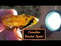 SO MANY Agates At The Creek! | Washington Creek Rockhounding