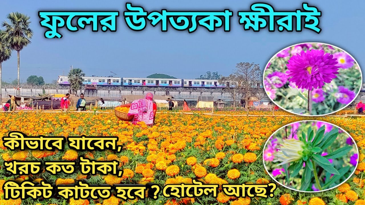 khirai-flower-garden-khirai-valley-of-flowers-one-day-trip-kolkata