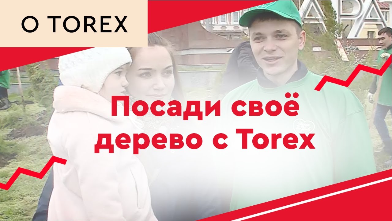 Посади свое авто