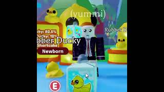 a ducky box #adoptme #adoptmepet #adoptmeroblox #RubberDuck #rubberduck #duck #box #openwithme