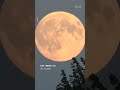 Harvest #supermoon lights up skies around the world