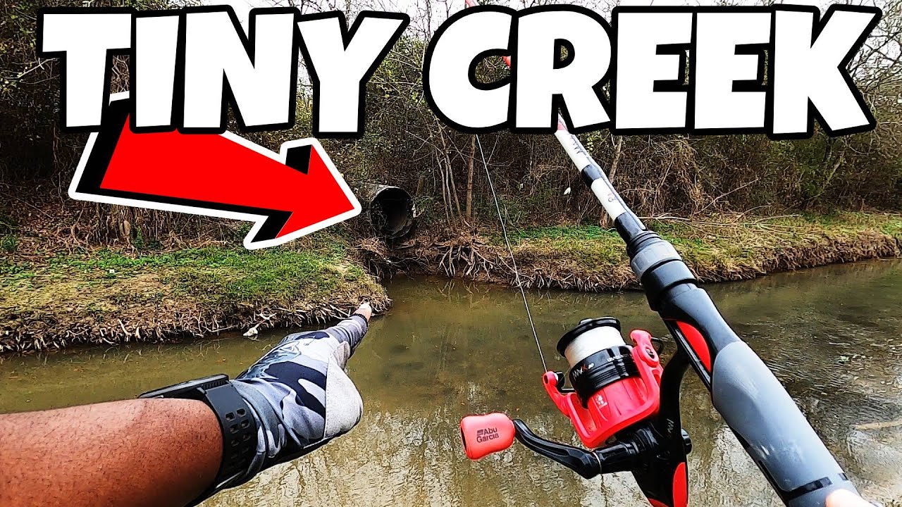 FISHING in a TINY CREEK PACKED WITH FISH!