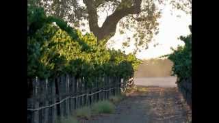 Stef Miller: Relish Santa Barbara
