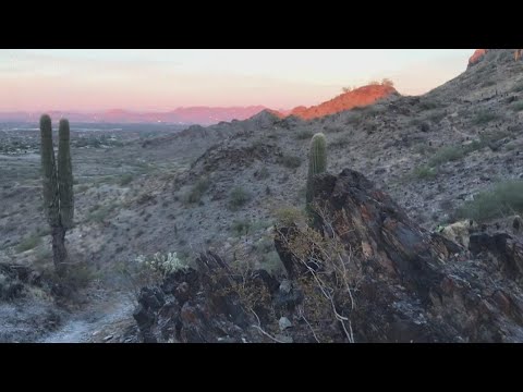 Video: 6 augstākās klases pārgājienu takas Gaismas ielejas parka teritorijā