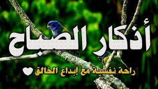 أذكار الصباح ..راحة نفسية مع إبداع الله في خلقه💚..القارئ حسام المعصبي