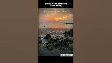 Portions of Inheritance in Islam #quran#tilawatequran#koran#coran #Allah#shortsviral#viralvideos