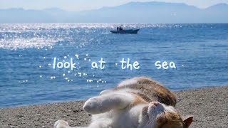 look at the sea - Oisicle Melonpanおいしくるメロンパン (sub:español/lyrics/japones/romaji)