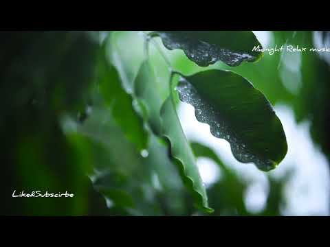 Warm Memories Emotional Inspiring Piano Happy Weather Rainy Day