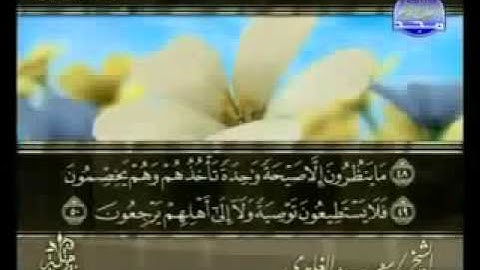 ختمة الشيخ سعد الغامدي 36 سورة يس