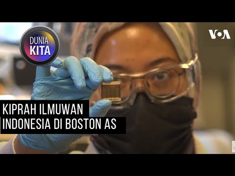 Video: 8 Pantai dengan Nilai Tertinggi di Wilayah Boston