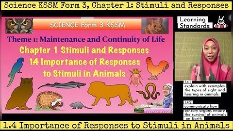 SCIENCE F3C1:1.4 Importance of Responses to Stimuli in Animals