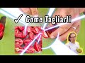 Guida Rapida Pomodorini Secchi Trucco per Tagliare i Pomodori da fare Asciugare rapidamente al Sole