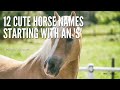 12 Cute Horse Names That Start With S