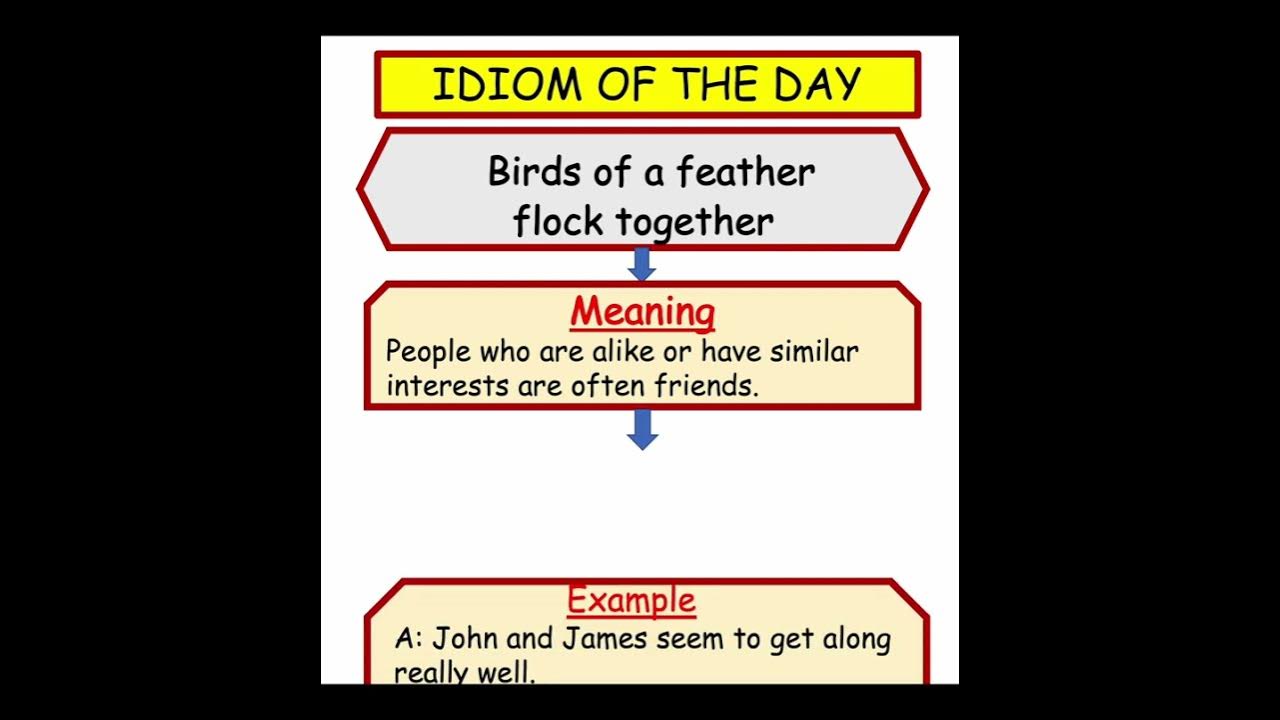 Idiom Birds of a feather flock together Meaning and example #shorts #