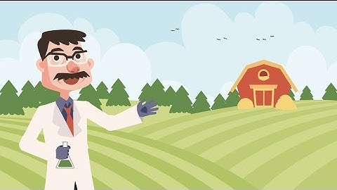 Ellingson Explainer Video