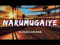 Narumugaye [Slowed+Reverb] -  Unnikrishnan, Bombay Jayashree | Iruvar | Taal