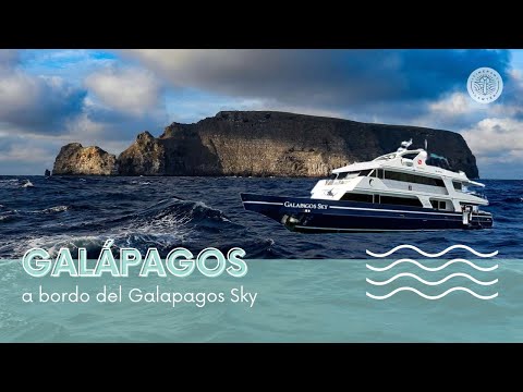 Video: Navegué en el crucero inaugural de Galápagos de Hurtigruten: así fue