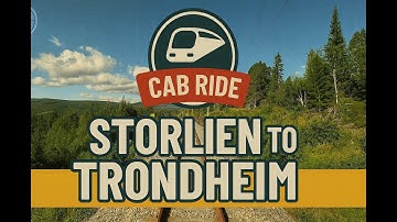 Train 1302 Storlien – Trondheim (August 3, 2025)