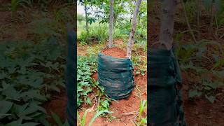 Making a sack garden #vlog #minivlog #farming