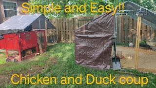 Simple Backyard Chicken and Duck Coup Summer Setup