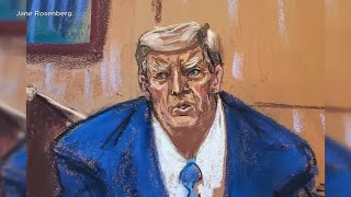 Trump must pay E. Jean Carroll $83 million in defamation case Net Worth