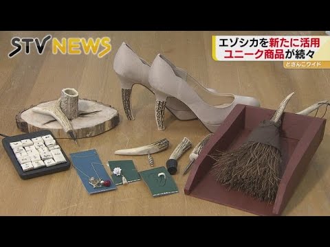 No.2050『鹿角加工材セット』鹿の角エゾ鹿鹿角蝦夷鹿