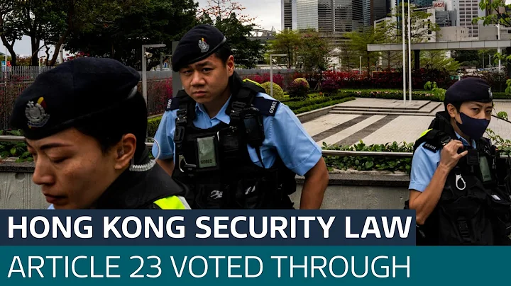 Hong Kong security law Article 23 voted through | ITV News - DayDayNews