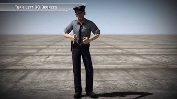 Turn Left 90 Degrees - 3d Motion Capture FBX