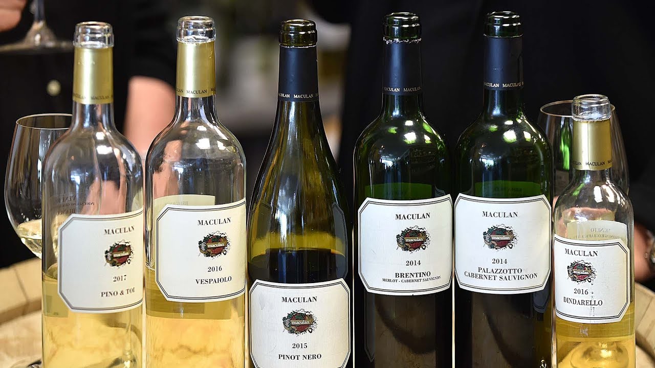 Exploring Wines: Maculan Winery from Breganze, Italy