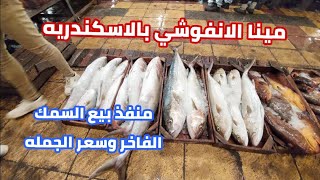 اليوم تصوير من داخل مينا الانفوشي اسعار السمك والجمبري  الفاخر