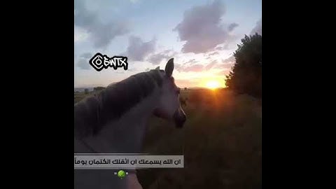 #حالات_واتس إسلامية تلاوة خاشعة تجعلك ترتاح نفسيا فقط استمع بقلبك