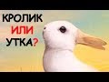 10 ИЛЛЮЗИЙ, КОТОРЫЕ ПРОТЕСТИРУЮТ ТВОЙ МОЗГ