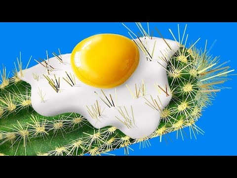 Testing Viral EGG HACKS by 5 Minute Crafts Pass or Fail in home 2020