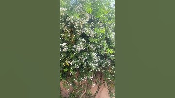 القران الكريم #دعاء