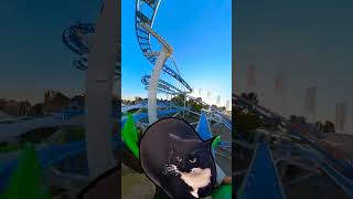 Maxwell the Cat 🐈‍⬛ dancing on a crazy #rollercoaster 🎢 Wild Mouse #lunapark