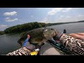 Mastering Bass Fishing: Epic Catches and Pro Tips for Landing Trophy Bass!