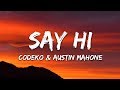 Codeko Say Hi Lyrics Feat Austin Mahone Codeko Say Hi Lyrics Feat Austin Mahone