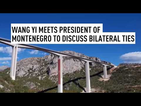 Wang Yi meets Montenegrin president as relationship milestone