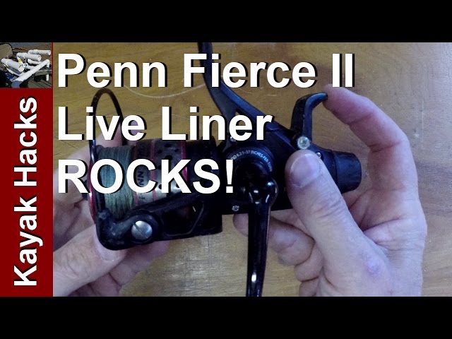 Penn Live Liner Spinning Reel Review - Good Live Liner Drag System