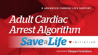 7d: Adult Cardiac Arrest Algorithm (2024)