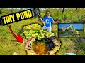 Building a TINY Backyard POND for PET Fish!