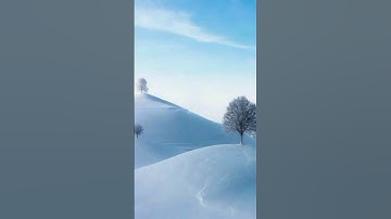 تلاوة هادئة من سورة التوبه #شارك_القرآن