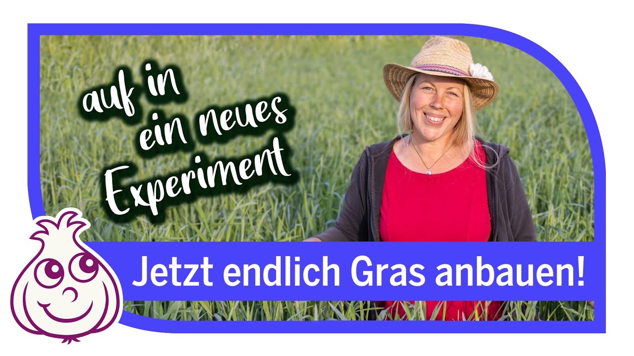 Ich stand mit meinem Mann im Gemüsegarten, die Finger voller Erde, und freute mich auf eine ruhige Pflanzrunde – da sagte er plötzlich: „Bevor du den Fenchel setzt, will ich dir erst mal was...