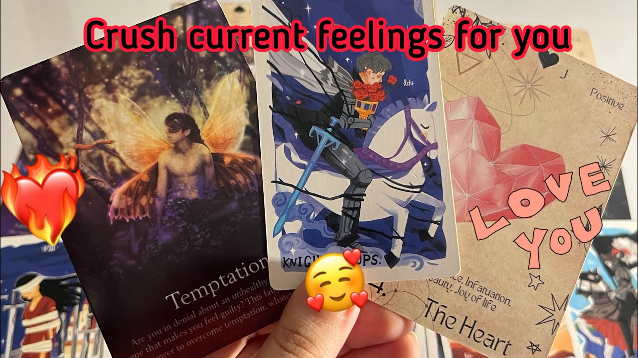 Crush Current Feelings for you ️‍🔥 Crush current feelings | Hindi tarot ...