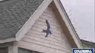Newburyport Our Town Video Update