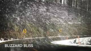 Mount Hotham - Blizzard | Australia | Great Alpine Road