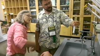 How To Determine What Flowers Your Bees Gathered Honey From
